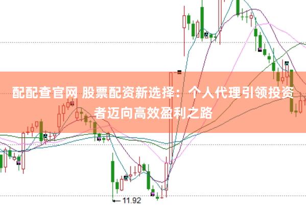 配配查官网 股票配资新选择：个人代理引领投资者迈向高效盈利之路