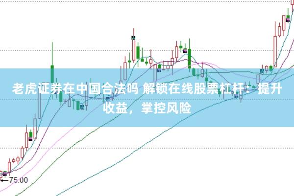 老虎证券在中国合法吗 解锁在线股票杠杆：提升收益，掌控风险