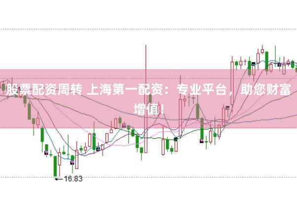股票配资周转 上海第一配资：专业平台，助您财富增值！