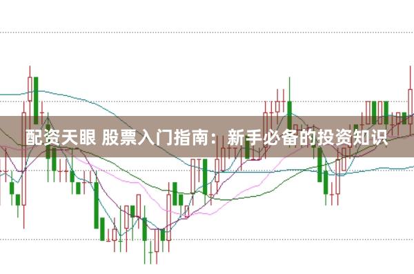 配资天眼 股票入门指南：新手必备的投资知识