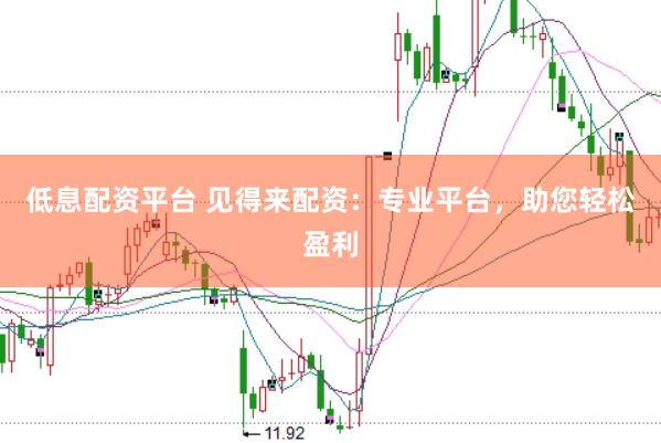 低息配资平台 见得来配资：专业平台，助您轻松盈利