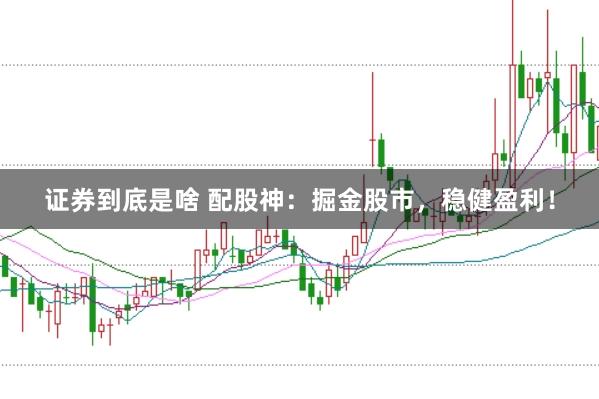 证券到底是啥 配股神：掘金股市，稳健盈利！