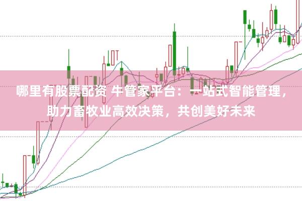 哪里有股票配资 牛管家平台：一站式智能管理，助力畜牧业高效决策，共创美好未来