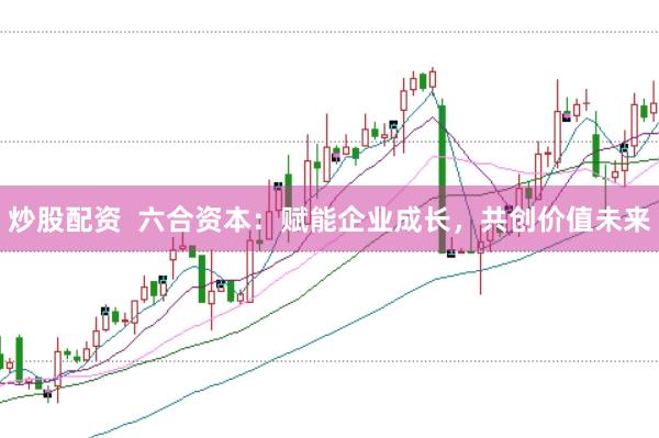 炒股配资 六合资本:赋能企业成长,共创价值未来