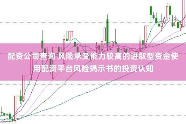 配资公司查询 风险承受能力较高的进取型资金使用配资平台风险揭示书的投资认知