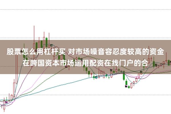 股票怎么用杠杆买 对市场噪音容忍度较高的资金在跨国资本市场运用配资在线门户的合
