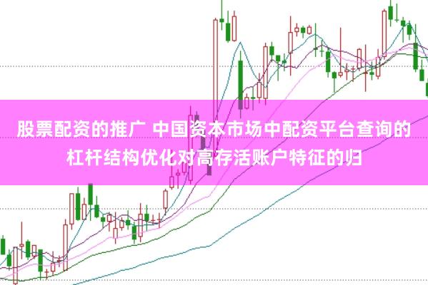 股票配资的推广 中国资本市场中配资平台查询的杠杆结构优化对高存活账户特征的归