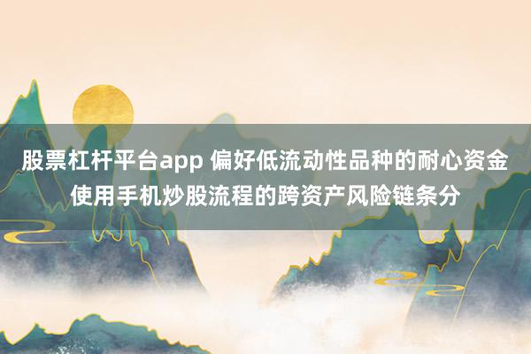 股票杠杆平台app 偏好低流动性品种的耐心资金使用手机炒股流程的跨资产风险链条分