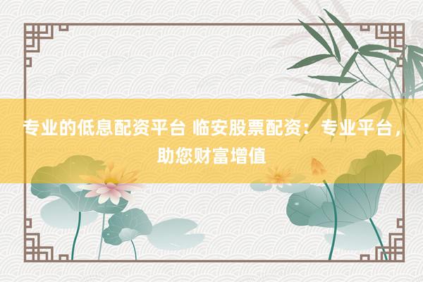 专业的低息配资平台 临安股票配资:专业平台,助您财富增值