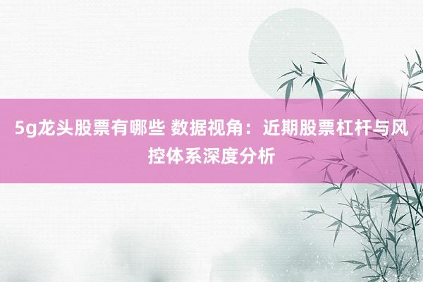 5g龙头股票有哪些 数据视角：近期股票杠杆与风控体系深度分析