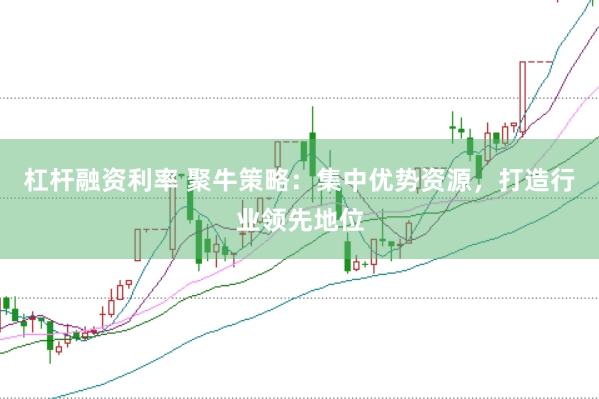 杠杆融资利率 聚牛策略：集中优势资源，打造行业领先地位