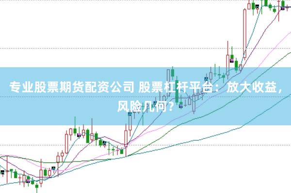 专业股票期货配资公司 股票杠杆平台：放大收益，风险几何？